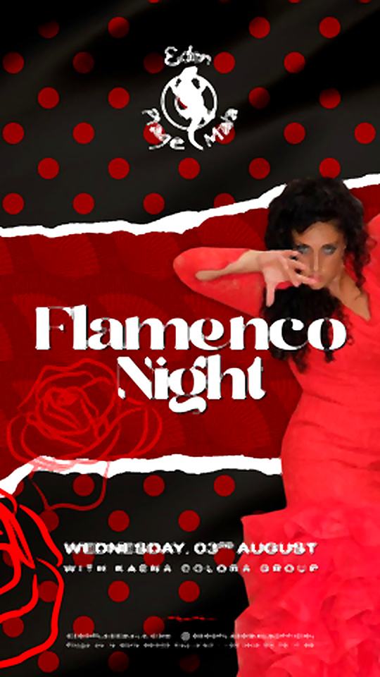 Cartel de Flamenco Night